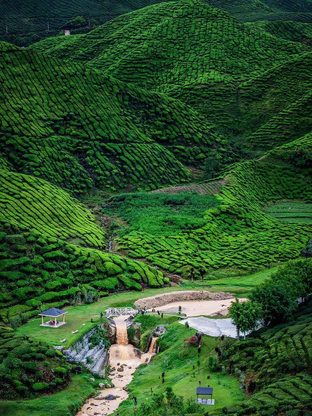 Cameron Highlands Cameron Highlands