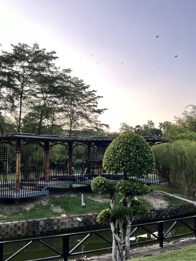 🌳都会のオアシスで深呼吸|Perdana Botanical Garden(ペルダナ植物園) 🌳都会のオアシスで深呼吸|Perdana Botanical Garden(ペルダナ植物園)