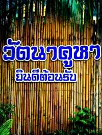 🌸ไหว้พระ ชมวิวทุ่งนา วัดนาคูหา