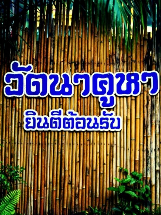 🌸ไหว้พระ ชมวิวทุ่งนา วัดนาคูหา