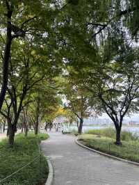 가을 감성 가득한 대구 수성못 🌾 반짝이는 호수 옆 갈대밭 산책코스