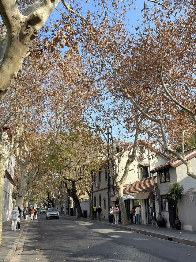 🚶♀️Shanghai City Walk - Wukang Road 🚶♀️Shanghai City Walk - Wukang Road