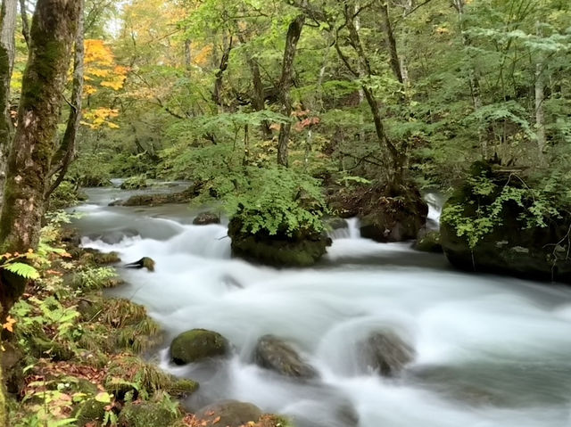 日本青森奧入瀨溪流 日本青森奧入瀨溪流