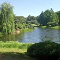 Chicago Botanic Garden – A Verdant Oasis of Beauty and Learning