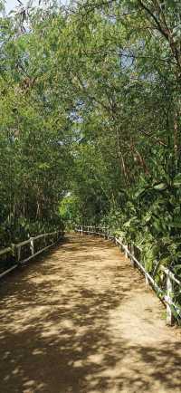 Virgin Island - Crstal Clear Water