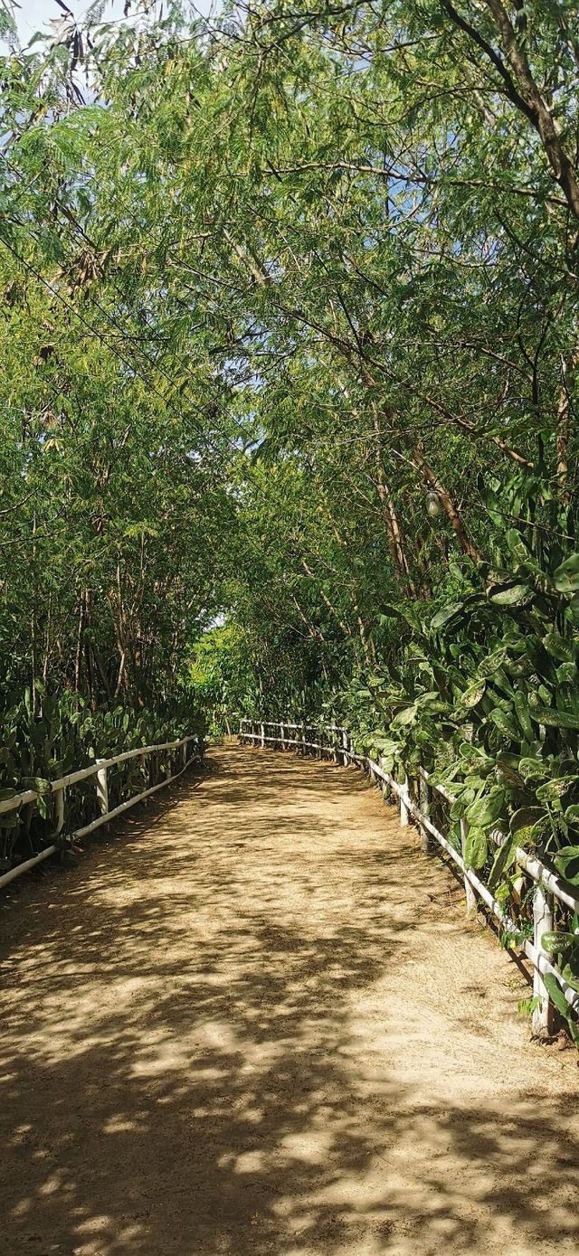 Virgin Island - Crstal Clear Water