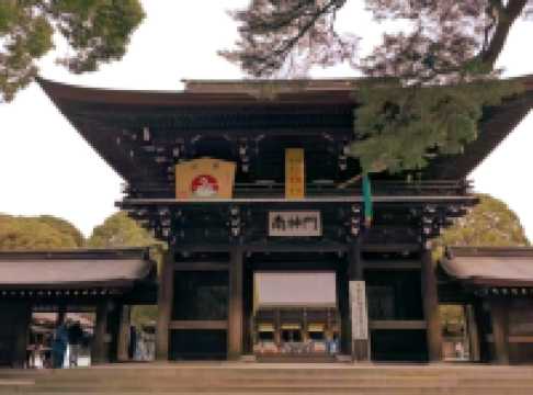 A Peaceful Escape in the Heart of Tokyo — Meiji Jingu Shrine