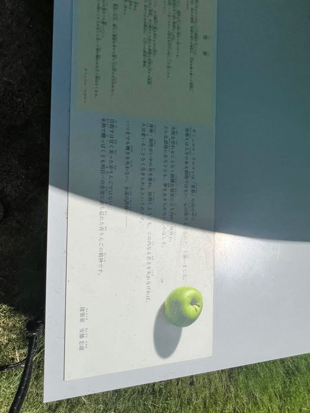 大阪的城市綠洲GRAND GREEN OSAKA 與大師安藤忠雄的建築VS.感受光影變化的午後愉悅