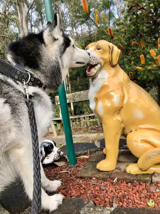 Best Friend Holiday Retreat：在 Tarra Valley 遇见最简单的快乐