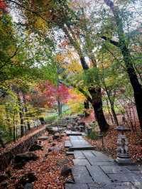 🪻더글라스 가든과 워커힐 산책길