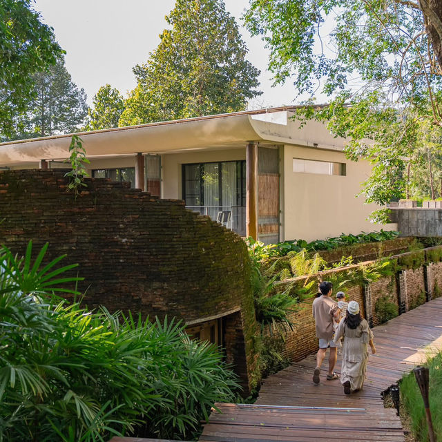 𝗖𝗵𝗶𝗮𝗻𝗴 Mai ไม่ลำพัง 𝗖𝗵𝗶𝗮𝗻𝗴 Mai ไม่ลำพัง