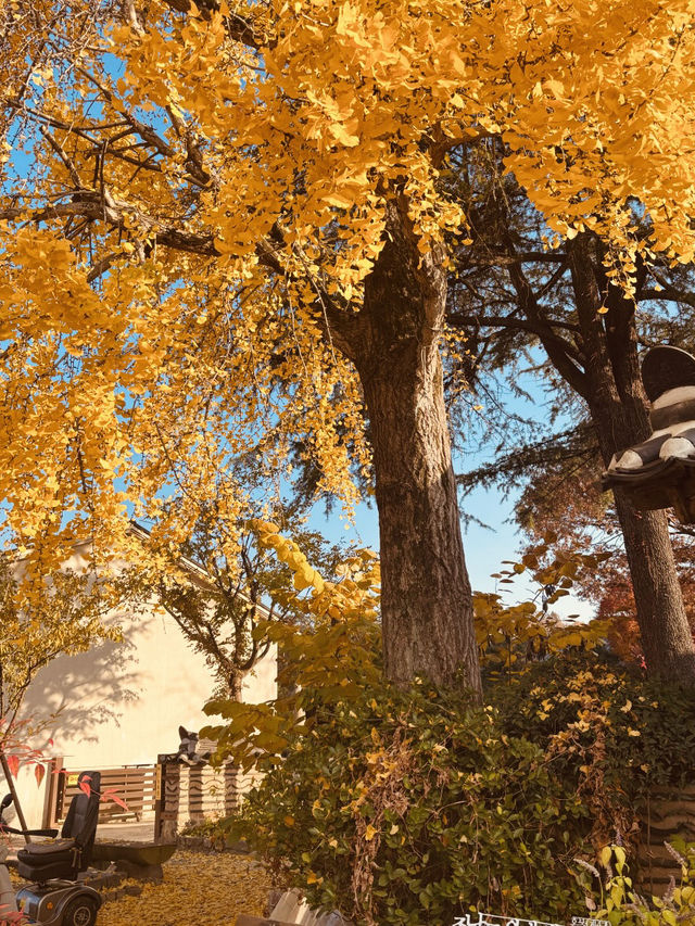 Historical Immersion and Unhurried Atmosphere