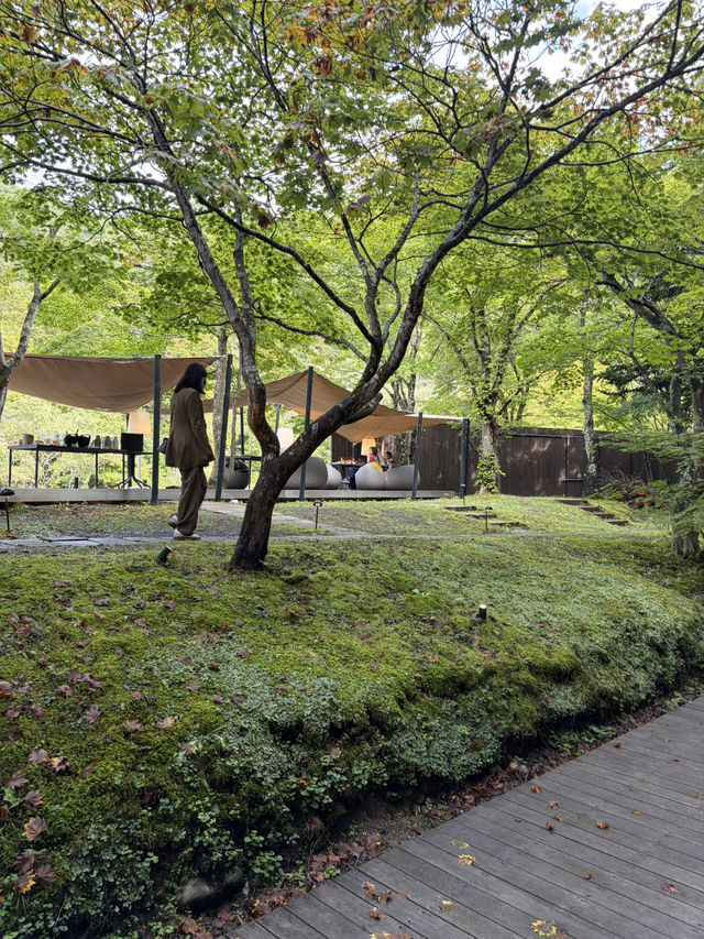 星野 奧入瀨溪流 星野 奧入瀨溪流