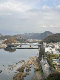 Inuyama Autumn Walk🍁