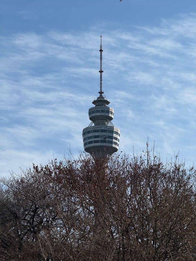 Park Paradise🌳 Park Paradise🌳