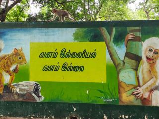 O Zoo Adventure: สัตว์ป่าและพืชพรรณที่สวนสัตว์อามิรธี เวลลอร์