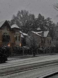 用雙眼、雙腳走進北海道的雪白世界裡