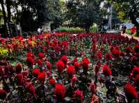 Dantewada Land of Angels Waterfall Park