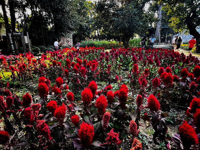 Dantewada Land of Angels Waterfall Park