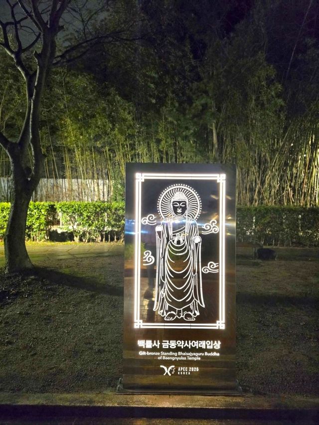 경주 보문호를 거닐면 만날수 있는 미디어아트✨️