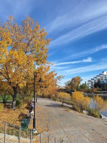秋の散歩の雰囲気