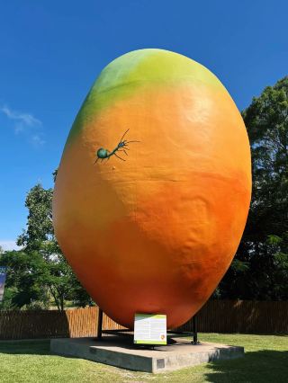 The Big Mango