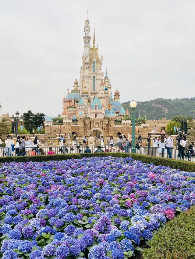 Hong Kong Disneyland 