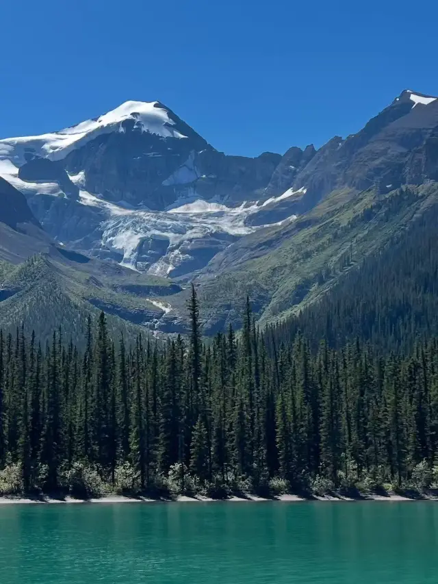 Into the Wild Heart of the Rockies: My Jasper Adventure