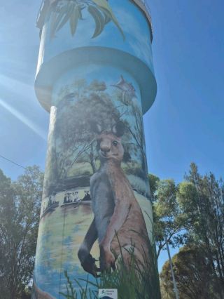 Epic Aussie Silo Art Trail: Murals That’ll Make Your Insta POP 🇦🇺✨