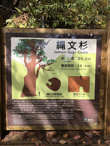 屋久島】人生で一度は見たい絶景🌲✨ | Trip.com 屋久島町