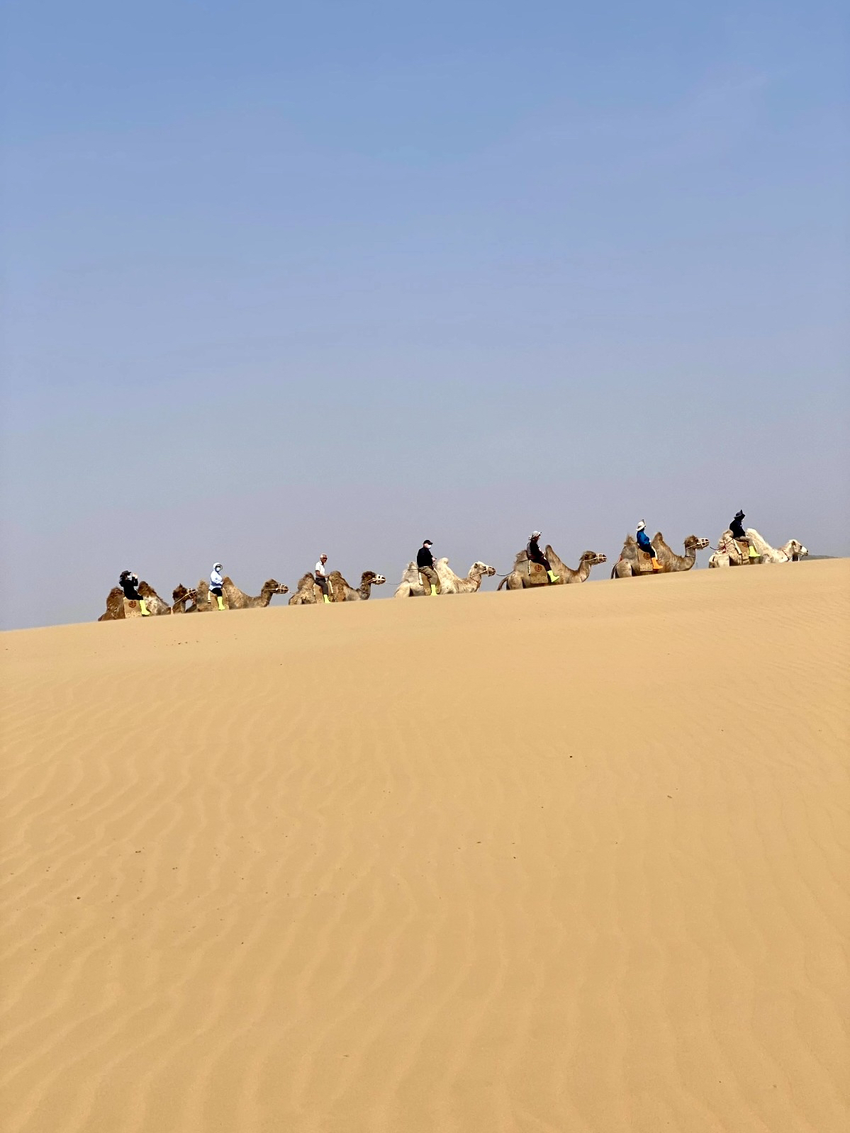 Whistling Dunes Fun in Inner Mongolia🐫  
