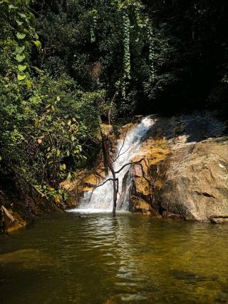 A side of Ipoh few people discover 💧🌿