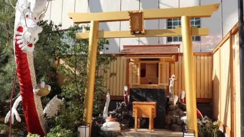 What Other Wealth Shrines in Tokyo Are Worth Visiting? — traveler post in Fuchu