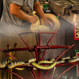 ペナンのヘビ寺（Snake Temple）。