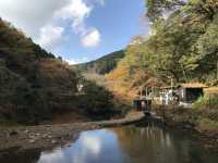 Epic Kyushu Road Trip: Scenic Spots, Cozy Towns & Vibes 🚗🍁