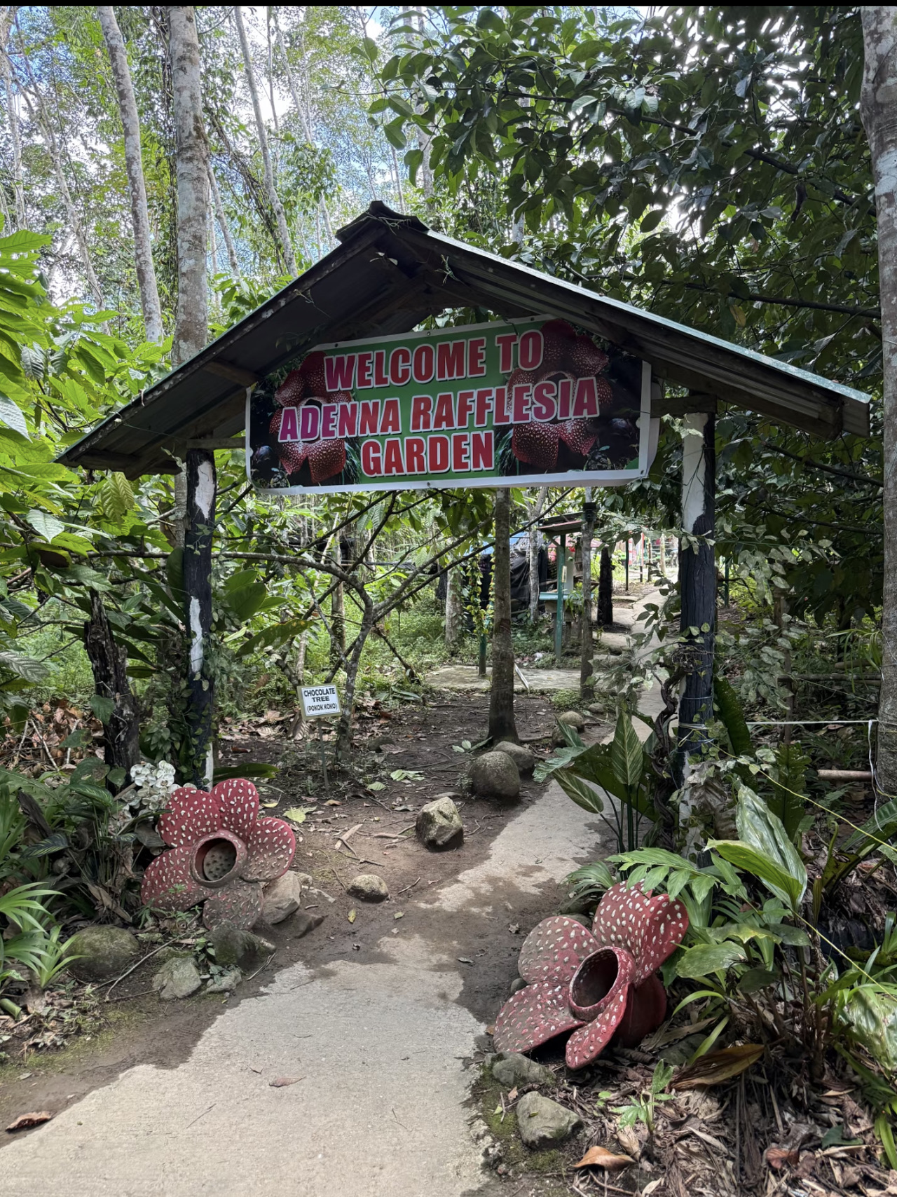 Kota Kinabalu Mount Kinabalu: A Day Full of Luck 🍀 