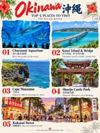 ✈️ Singapore Airlines Deal: SG-Okinawa Japan from ~SGD 550 Return! 🌺 
