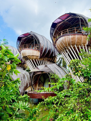 A hidden gem in Tabanan, Bali! Ulaman Eco Luxury Resort: All-bamboo treehouses + private waterfall, experience the rainforest world of Avatar 🎋✨