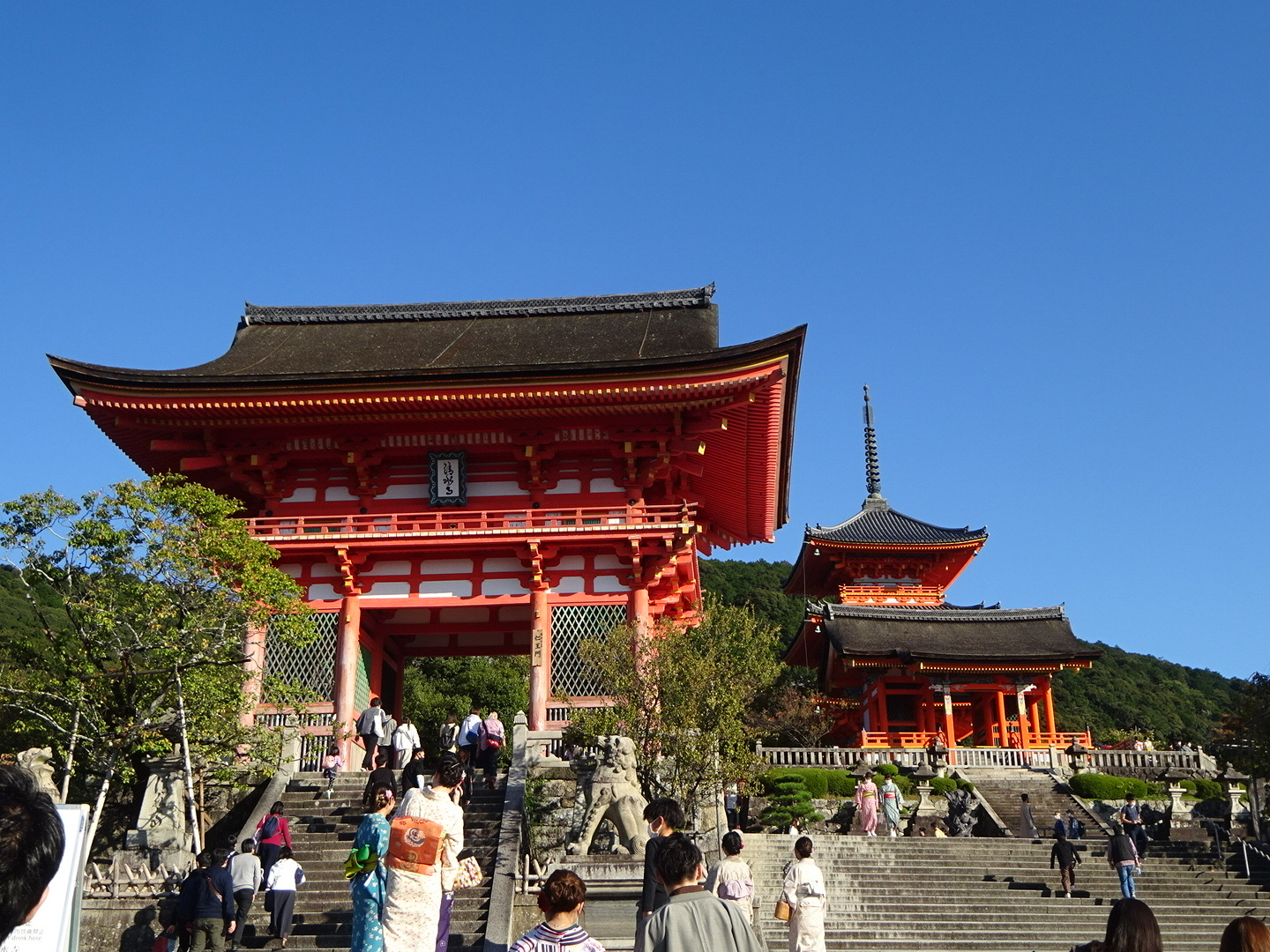 [Kyoto All-You-Can-Eat] All-you-can-eat pickles in Kyoto! A renowned restaurant where you can enjoy traditional Japanese flavors to your heart's content.
