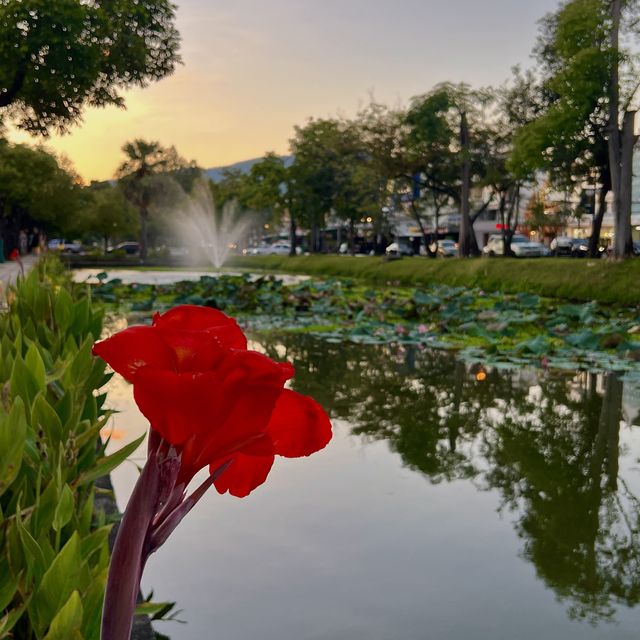 Chaing Mai, Thailands Northern Oasis 🏞️