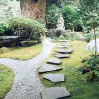 【神奈川県🇯🇵報国寺】竹林が有名な報国寺☺️マイナスイオンに癒されながらお抹茶で小休憩🍵