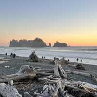 Olympic National Park in September 