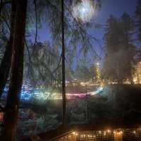 capilano suspension bridge 