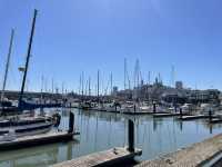 三藩市大滿足之神秘的碼頭Pier 39