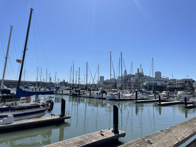 三藩市大滿足之神秘的碼頭Pier 39