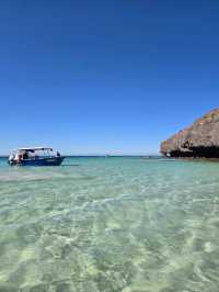 Rode in like a VIP, walked through the sea, met a mushroom. Balandra, you’re wild 🍄🚤💦