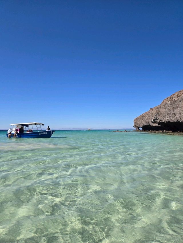 Rode in like a VIP, walked through the sea, met a mushroom. Balandra, you’re wild 🍄🚤💦