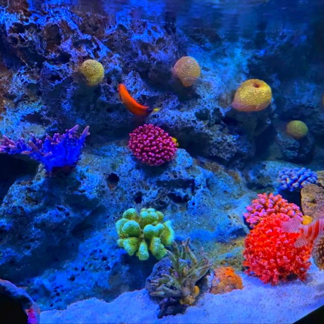 SEA LIFE Bangkok Ocean World