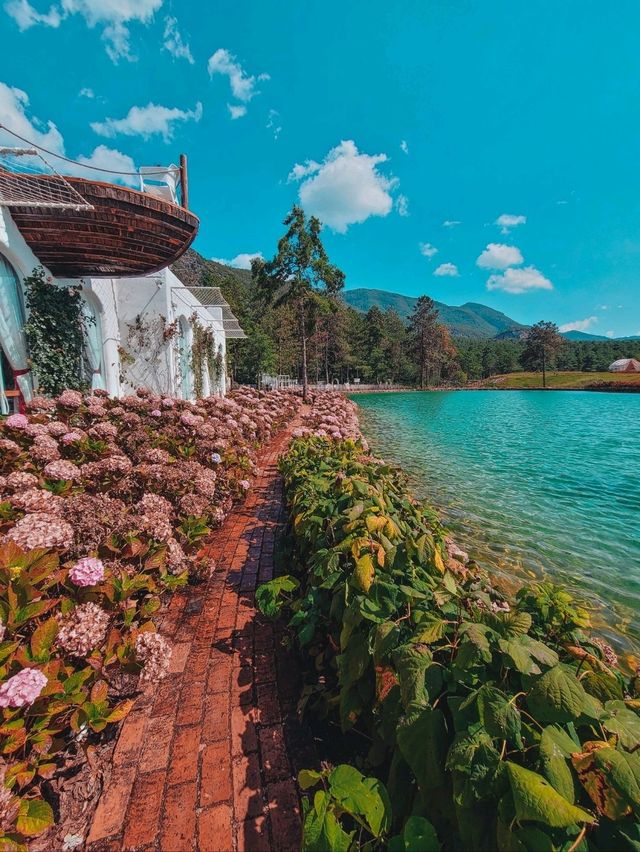 🌸Best Photoshoot Location in Lijiang