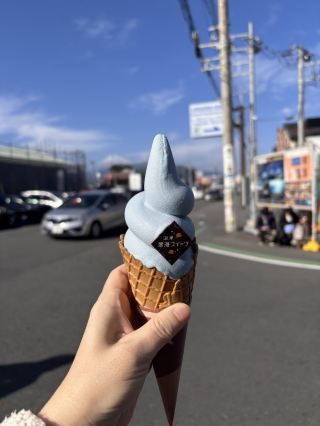 魅力あふれる海辺の街、沼津！